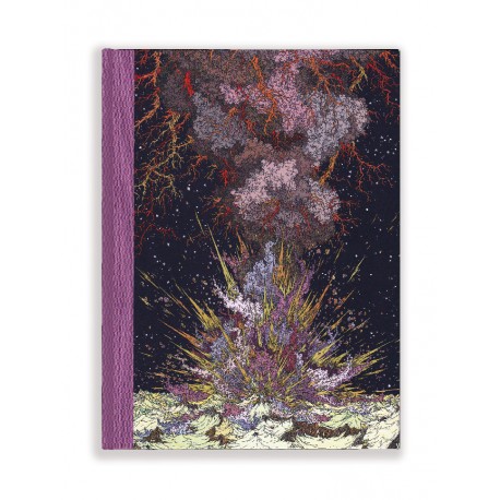 Vuillier Clément: L'Année de la comète.