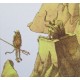 Moebius: Contes de la Terreur, Mini portfolio.