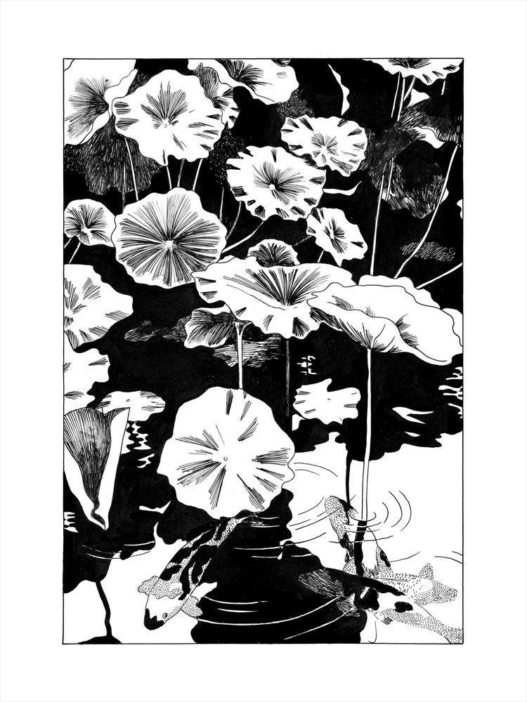 Stroesser Rosalie: Digigraphie Les Lotus de Shinobazu.